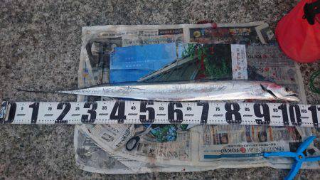 ドラゴン注意報