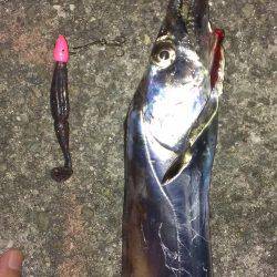 合わせは難しいねえ