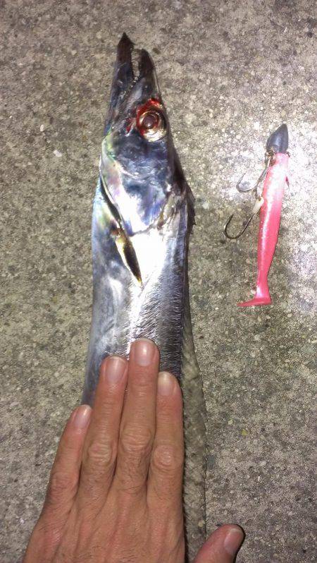 久しぶりの一本