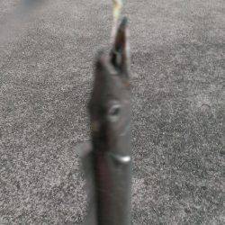 今季一番の釣果