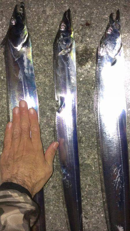 活性上がってる？