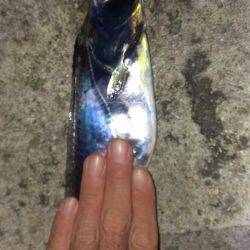 プッツン強制終了