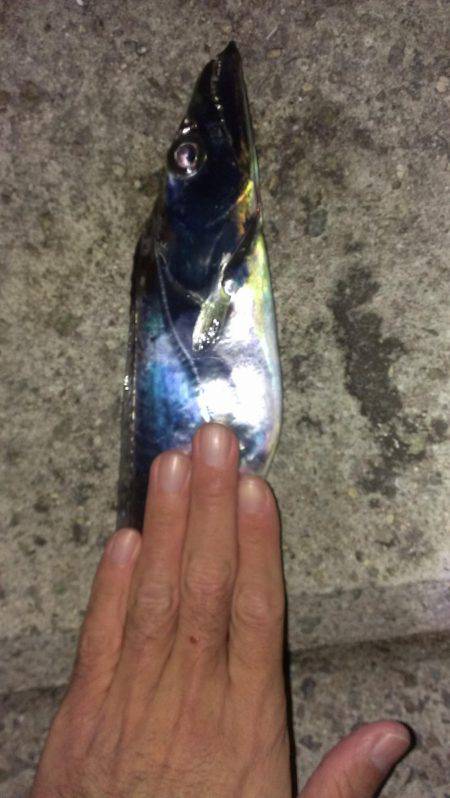 プッツン強制終了