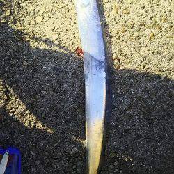 明るくなってから