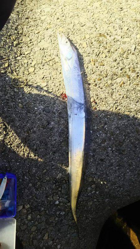 明るくなってから