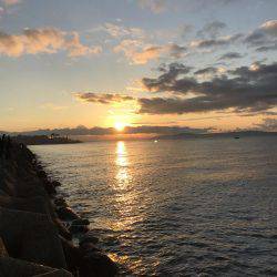 渋い中での一本