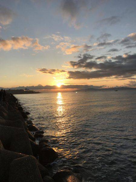 渋い中での一本