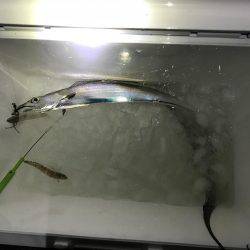 まだおったんか〜い