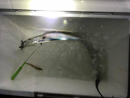 まだおったんか〜い