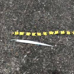 激渋の中での貴重な1匹