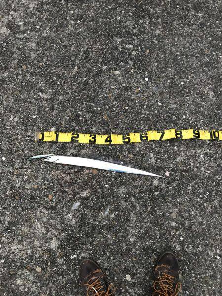 激渋の中での貴重な1匹