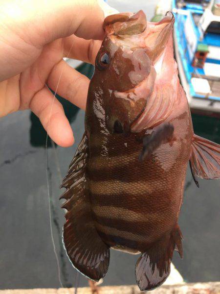 ライトロック！！！