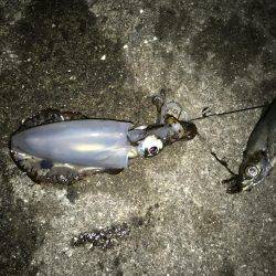 二度目の南紀、