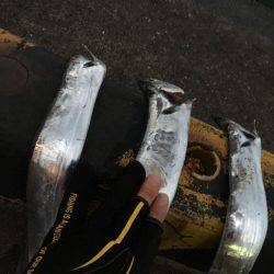 まだ少し居てます