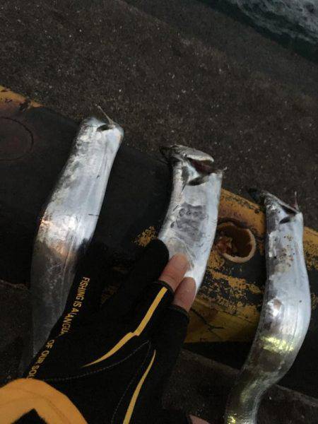 まだ少し居てます