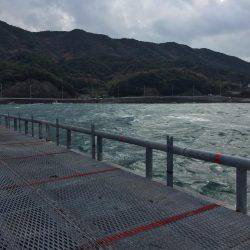 爆風のとっとパーク釣行