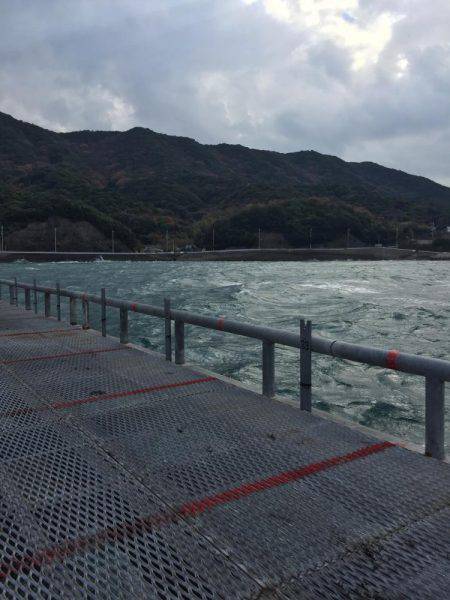 爆風のとっとパーク釣行