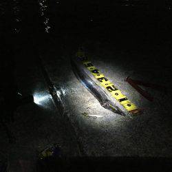 タチウオ終盤戦か?