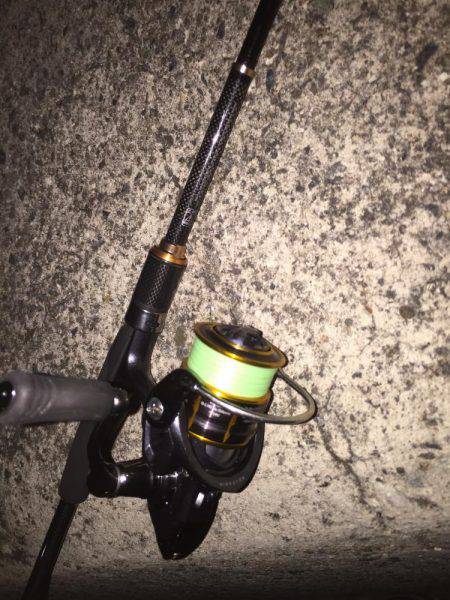 ガシラを何て言うのだろう？