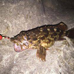 これから本番だー！