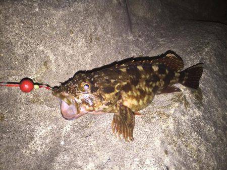 これから本番だー！