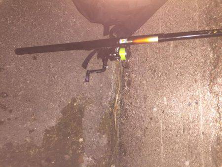 ガシラ狙いのはずが・・・