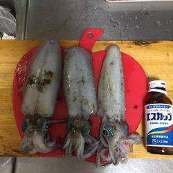 ドラグダッシュ