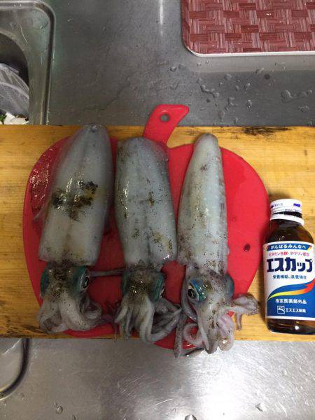 ドラグダッシュ