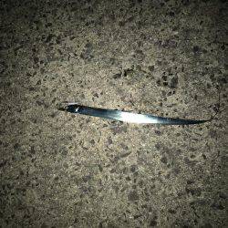 朝まづめの太刀魚ラッシュ