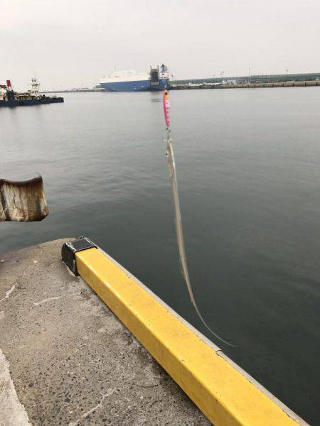 メタルジクで根魚狙い