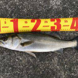 久保渡船さんにて