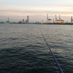 タチウオ渋かったが…