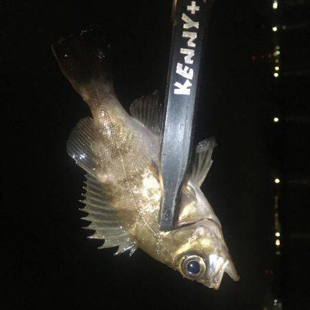 着いたと同時にまさかの…