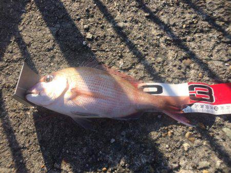 今日は投げ練（おみや付き）