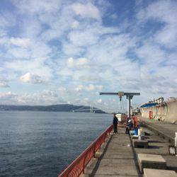 投げ練5日目 赤いけど君じゃない