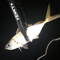 いないと思ってたけどぉ⤴︎