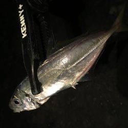 五目ライトGAME！