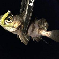 これぞライトゲーム。