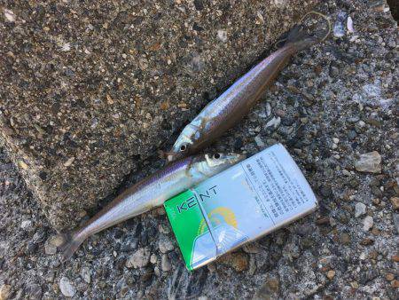 落ちギスちょい投げ