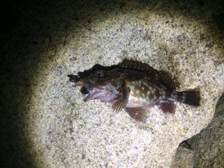 爆風テキサスロック！