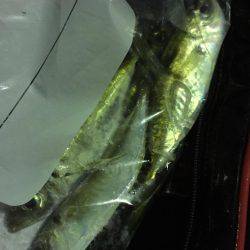 ライトライトライト