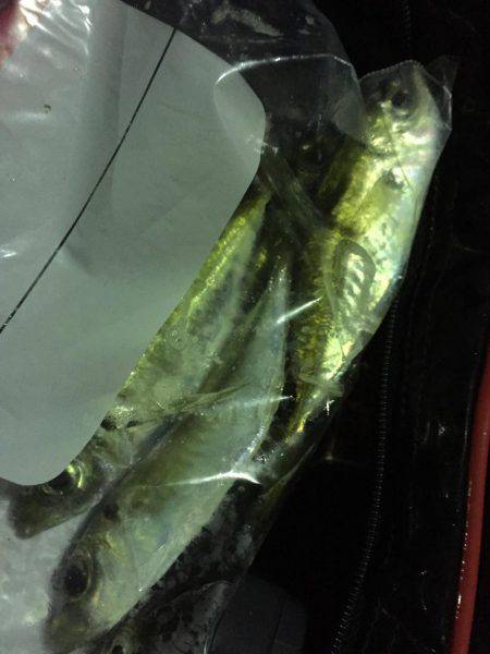 ライトライトライト