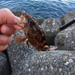 やっぱり楽しい(o^^o)