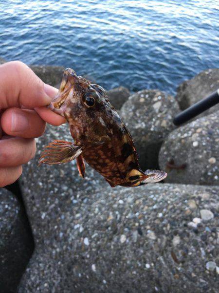 やっぱり楽しい(o^^o)