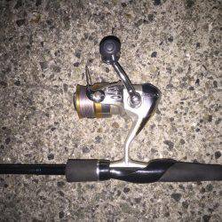 目指せドラゴン