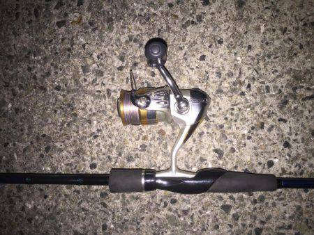 目指せドラゴン