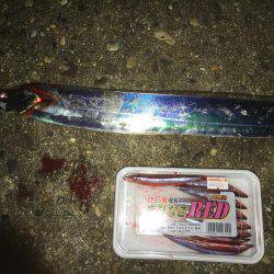 寒い:(´◦ω◦｀):