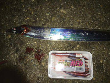 寒い:(´◦ω◦｀):