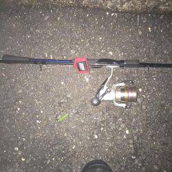 ドラゴンかな❓