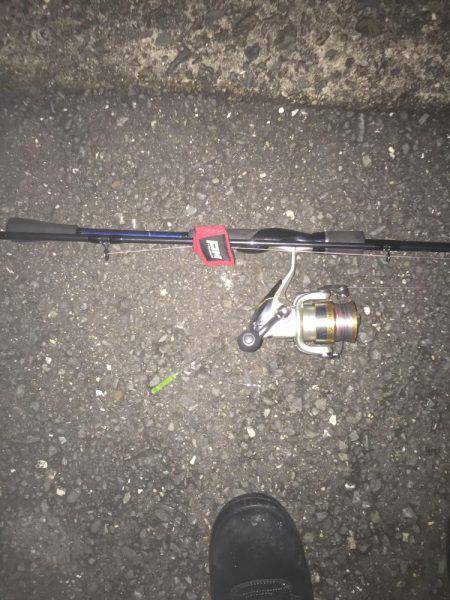 ドラゴンかな❓